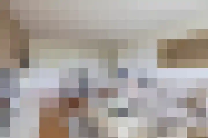 Alkenoord 29 Capelle aan den IJssel thumbnail 14