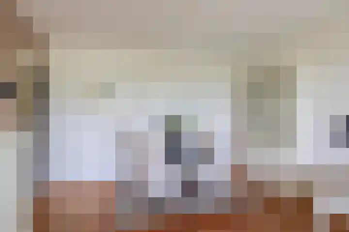 Alkenoord 29 Capelle aan den IJssel thumbnail 15