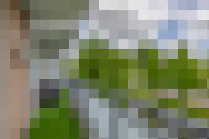 Alkenoord 29 Capelle aan den IJssel thumbnail 17