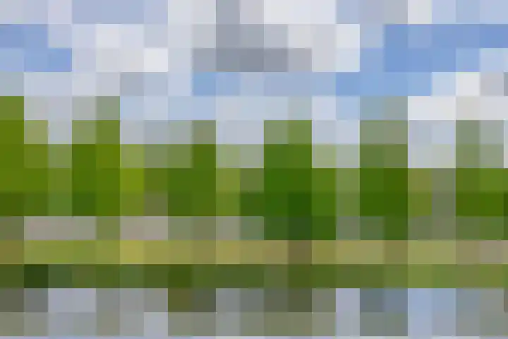 Alkenoord 29 Capelle aan den IJssel thumbnail 21