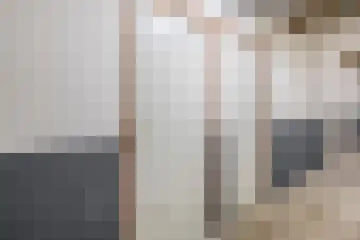 Alkenoord 29 Capelle aan den IJssel thumbnail 31