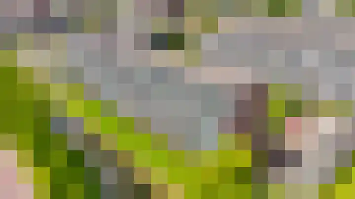Alkenoord 29 Capelle aan den IJssel thumbnail 34