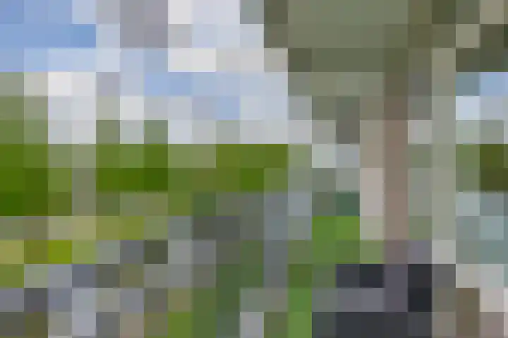 Alkenoord 29 Capelle aan den IJssel thumbnail 4