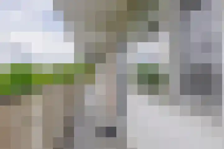 Alkenoord 29 Capelle aan den IJssel thumbnail 9