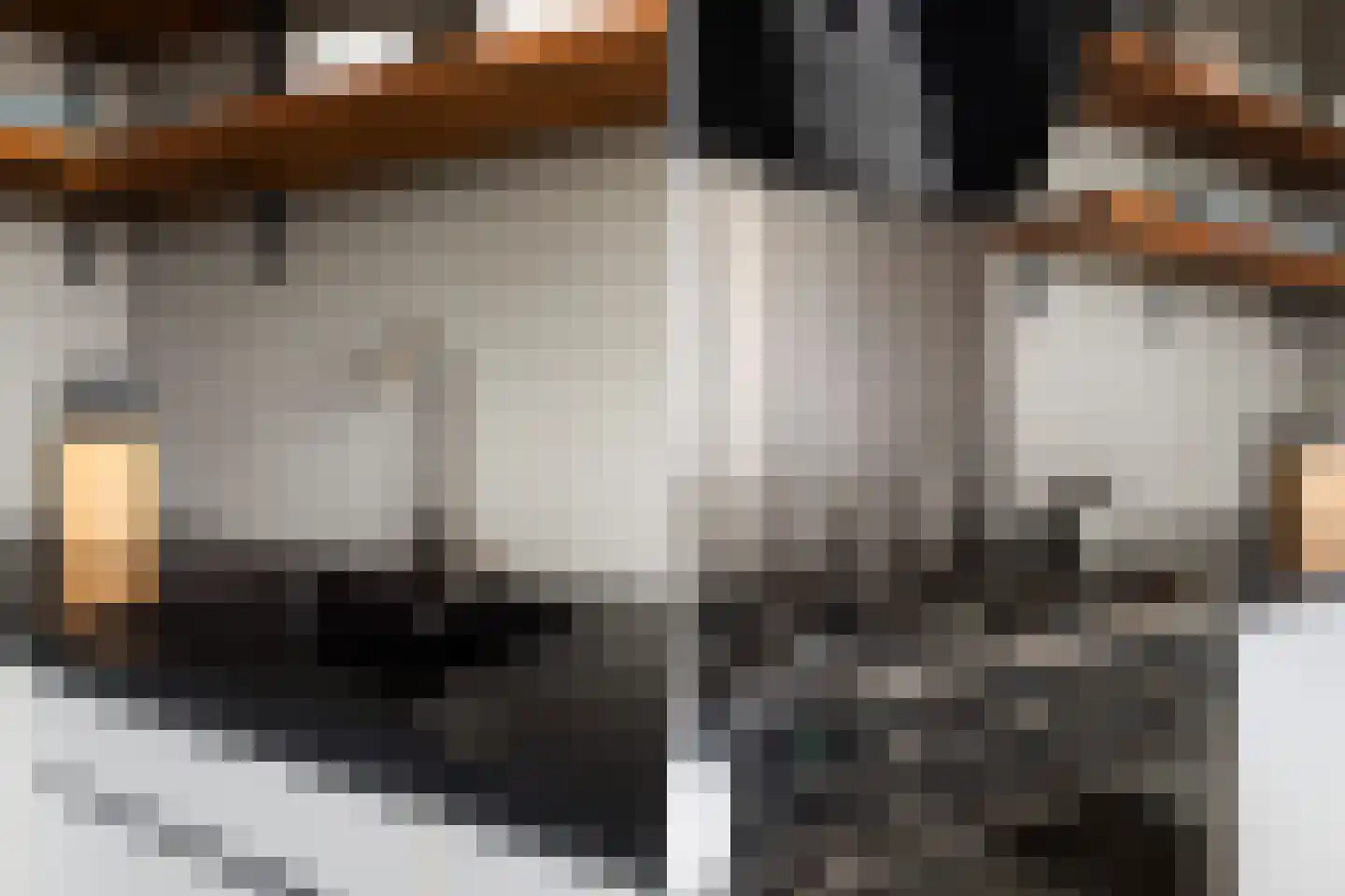 Alkenoord 306 Capelle aan den IJssel thumbnail 10