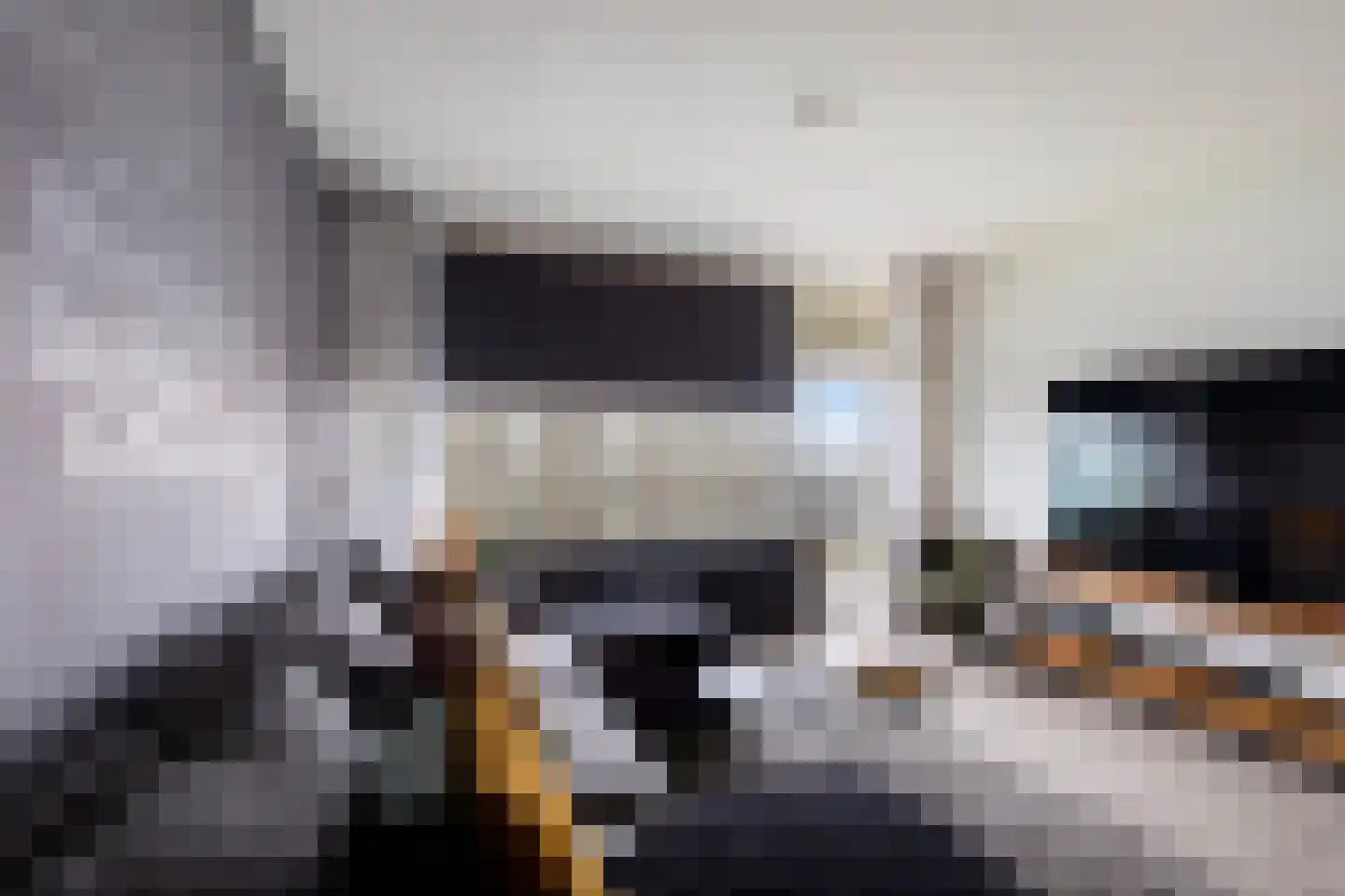Alkenoord 306 Capelle aan den IJssel thumbnail 15
