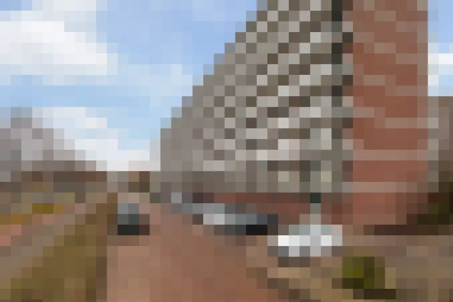 Alkenoord 306 Capelle aan den IJssel thumbnail 32