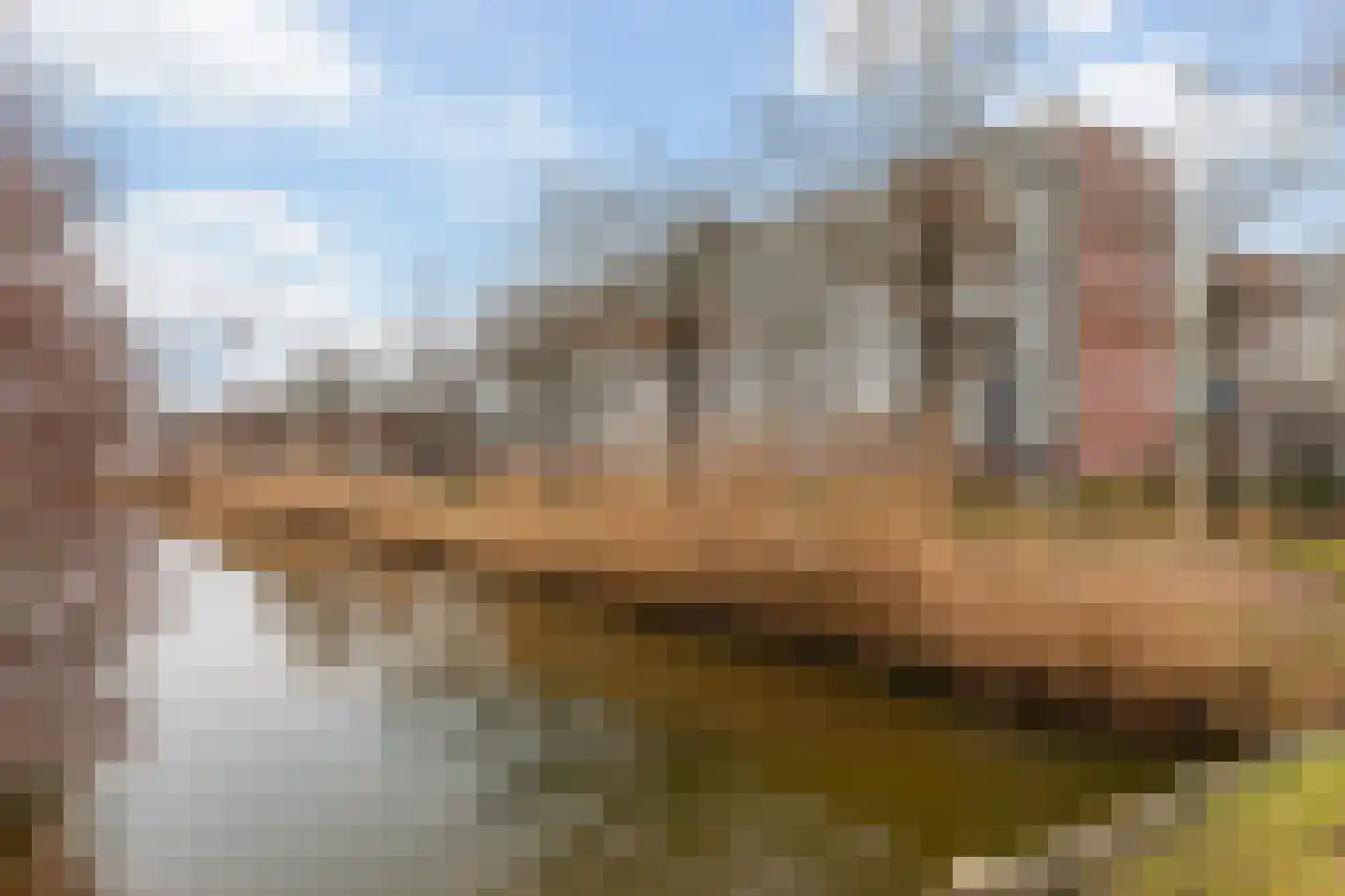 Alkenoord 306 Capelle aan den IJssel thumbnail 33
