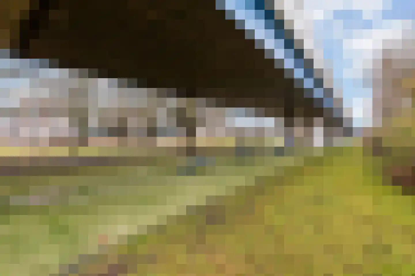 Alkenoord 306 Capelle aan den IJssel thumbnail 34