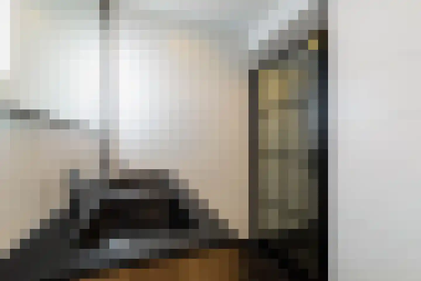 Alkenoord 306 Capelle aan den IJssel thumbnail 4