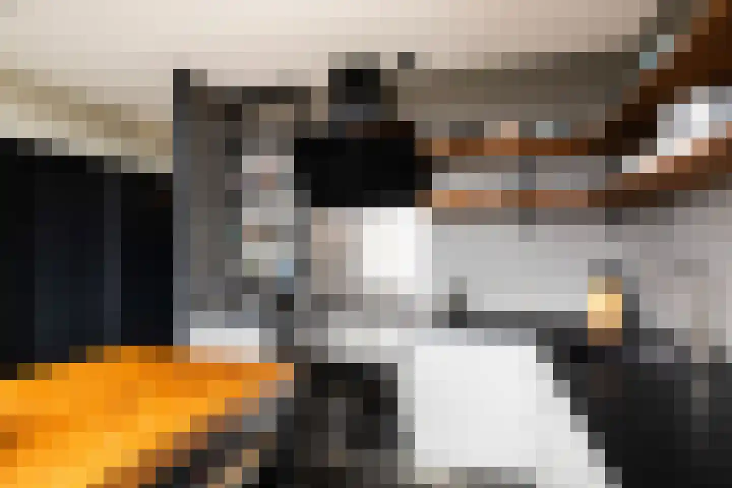 Alkenoord 306 Capelle aan den IJssel thumbnail 9