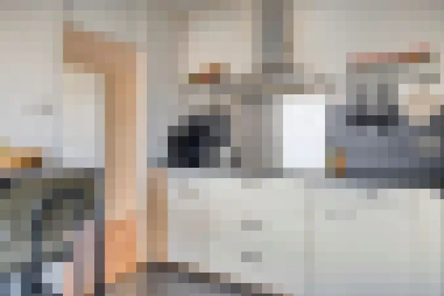 Alkenoord 313 Capelle aan den IJssel thumbnail 17
