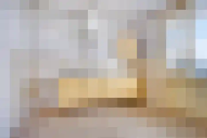 Alkenoord 314 Capelle aan den IJssel thumbnail 10