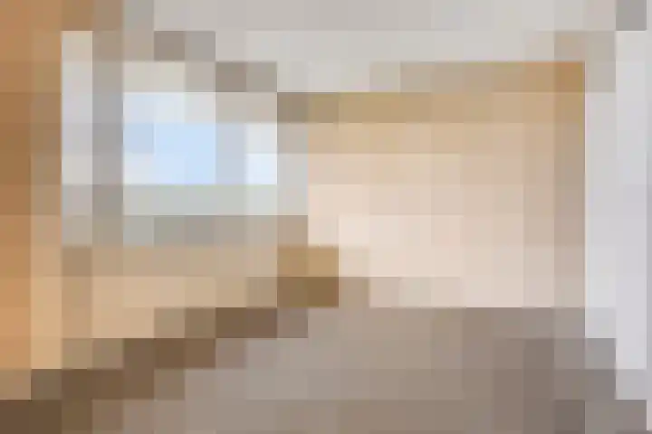 Alkenoord 314 Capelle aan den IJssel thumbnail 12