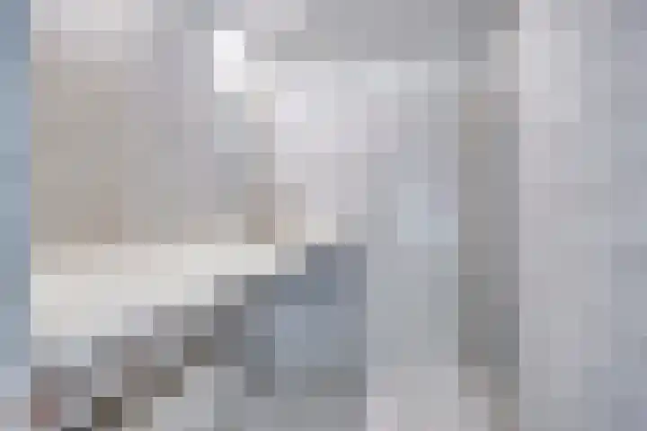 Alkenoord 314 Capelle aan den IJssel thumbnail 18