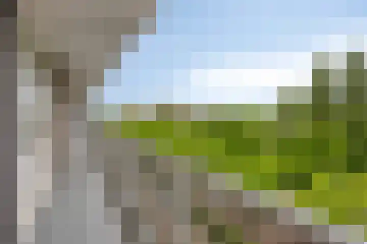 Alkenoord 314 Capelle aan den IJssel thumbnail 26