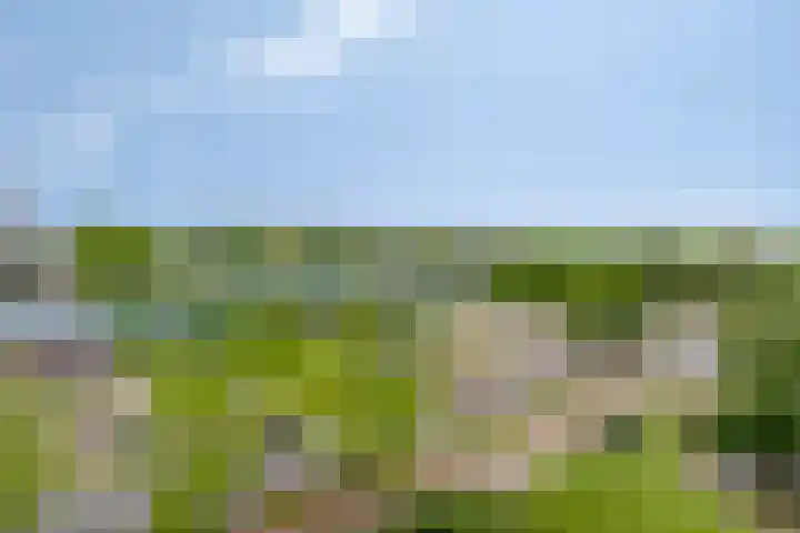 Alkenoord 314 Capelle aan den IJssel thumbnail 27