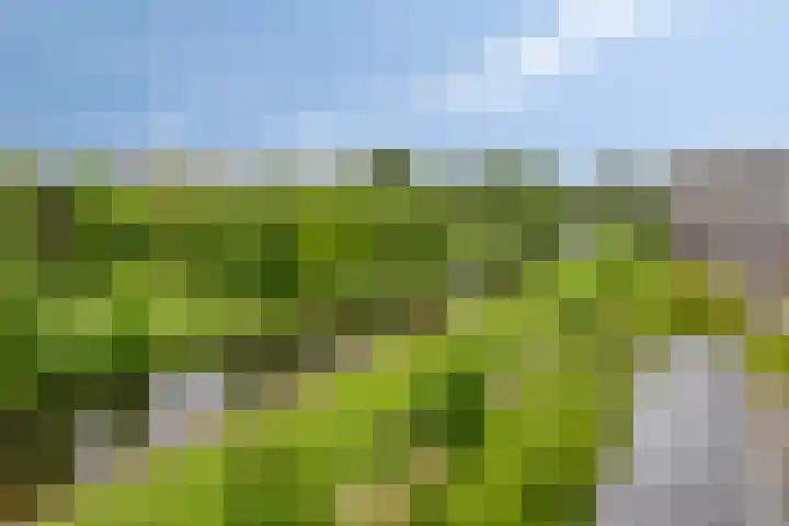 Alkenoord 314 Capelle aan den IJssel thumbnail 28
