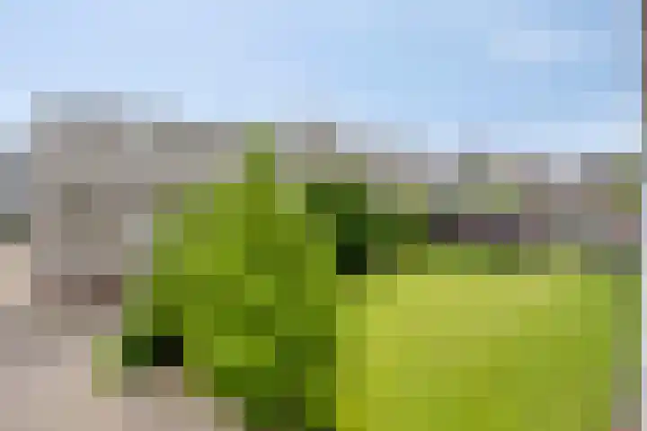 Alkenoord 314 Capelle aan den IJssel thumbnail 29
