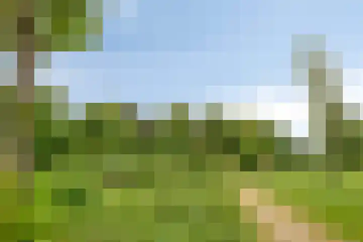 Alkenoord 314 Capelle aan den IJssel thumbnail 30