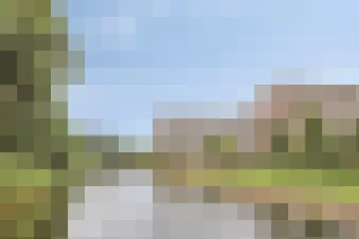 Alkenoord 314 Capelle aan den IJssel thumbnail 31
