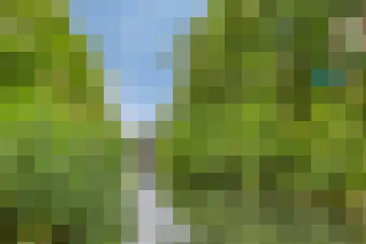 Alkenoord 314 Capelle aan den IJssel thumbnail 32