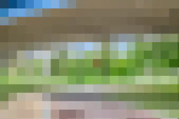 Alkenoord 314 Capelle aan den IJssel thumbnail 33