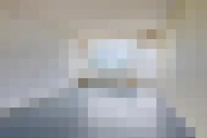 Alkenoord 314 Capelle aan den IJssel thumbnail 4
