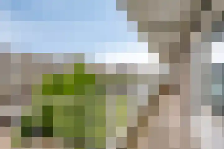 Alkenoord 314 Capelle aan den IJssel thumbnail 6