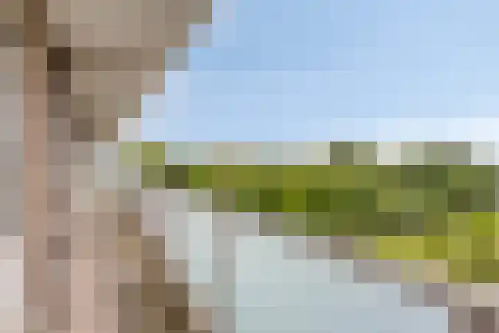Alkenoord 314 Capelle aan den IJssel thumbnail 7