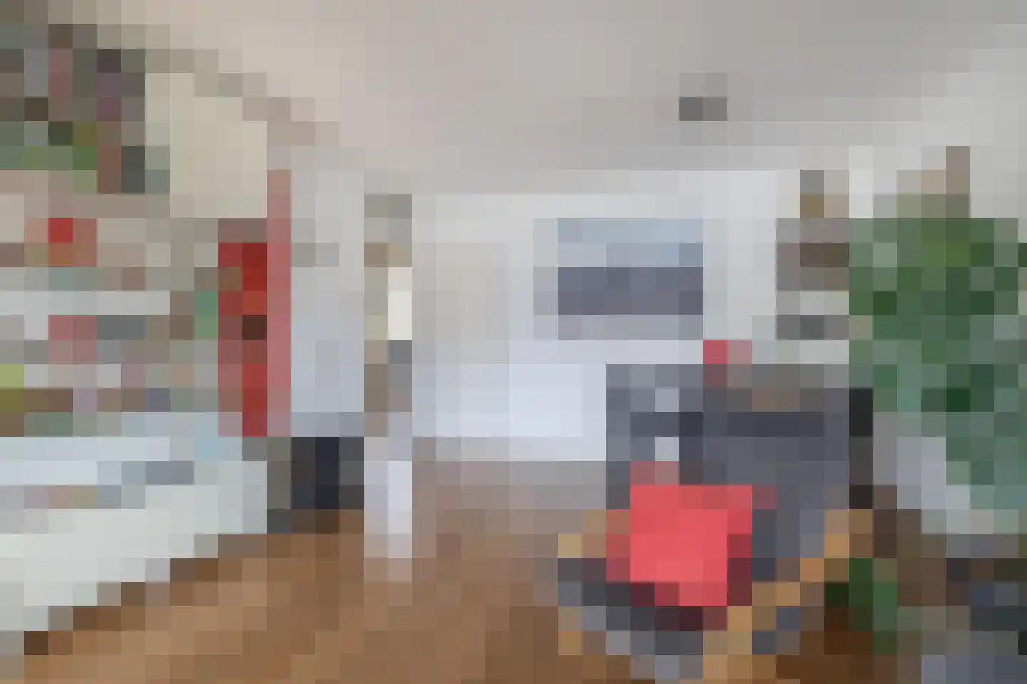 Alkenoord 317 Capelle aan den IJssel thumbnail 19