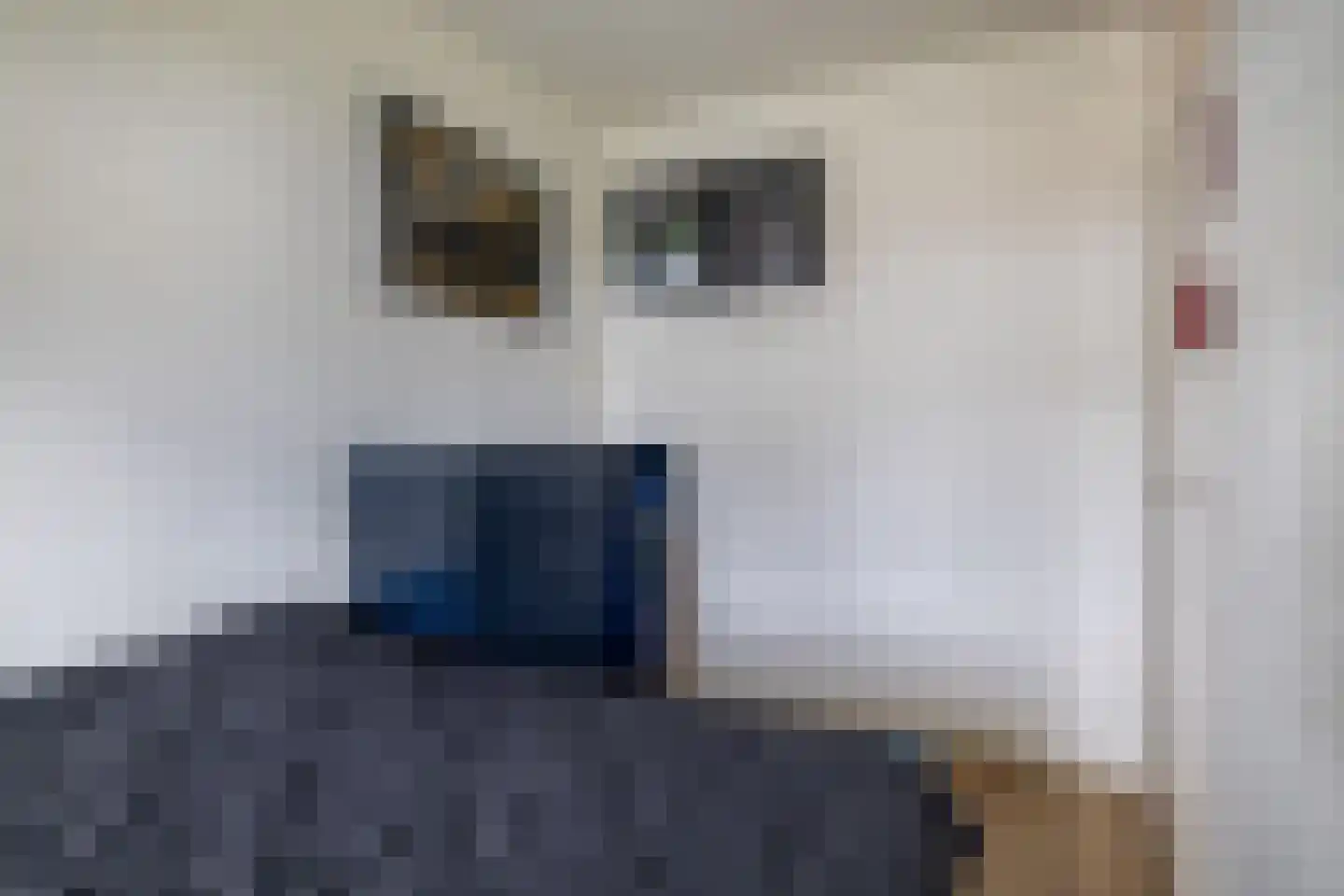 Alkenoord 317 Capelle aan den IJssel thumbnail 32