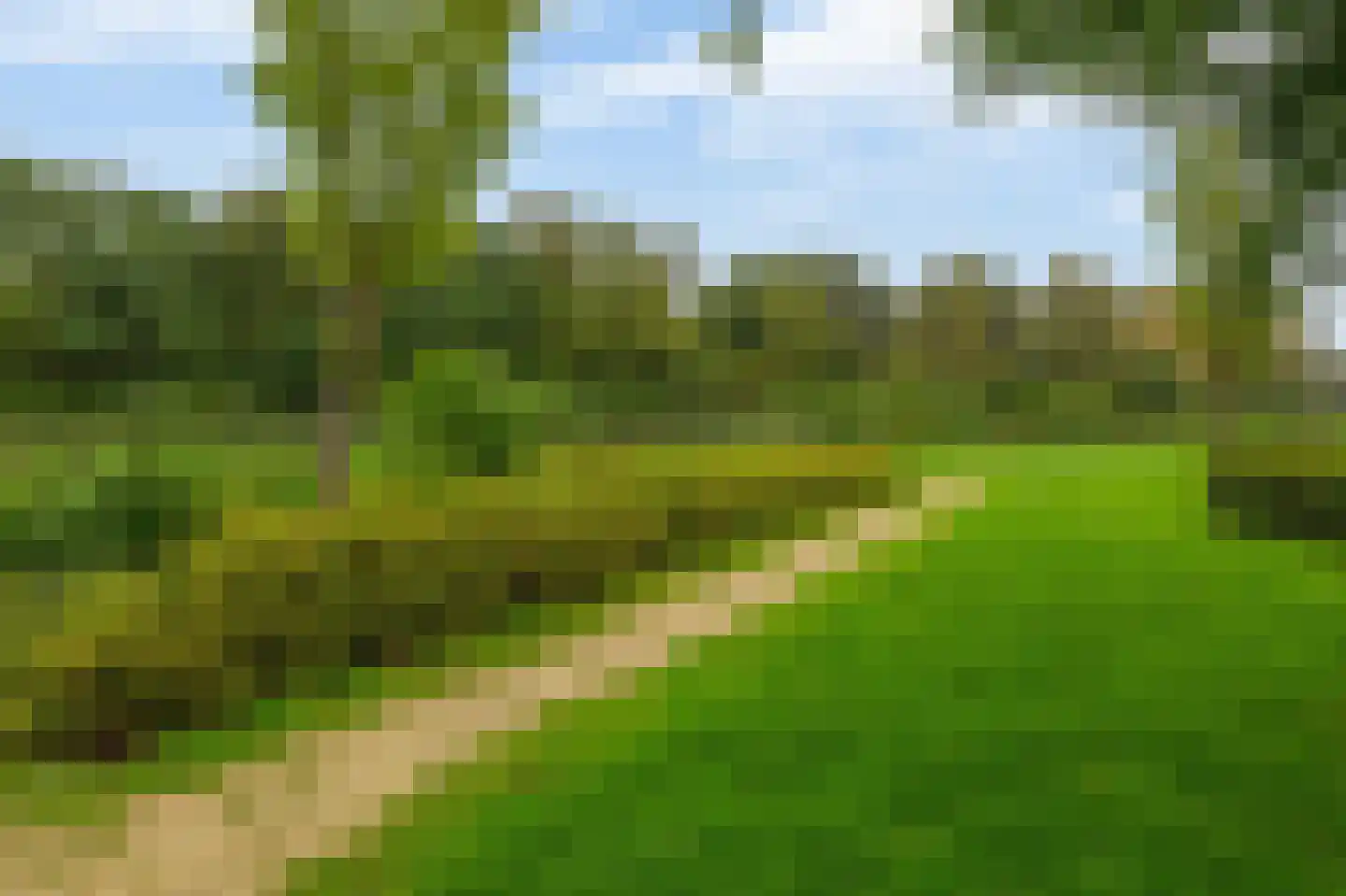 Alkenoord 317 Capelle aan den IJssel thumbnail 41