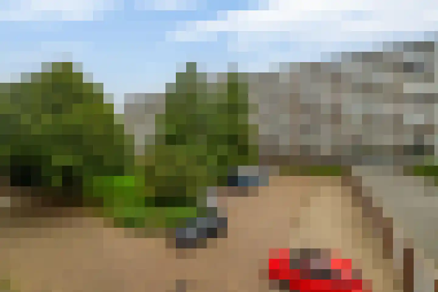 Alkenoord 317 Capelle aan den IJssel thumbnail 44