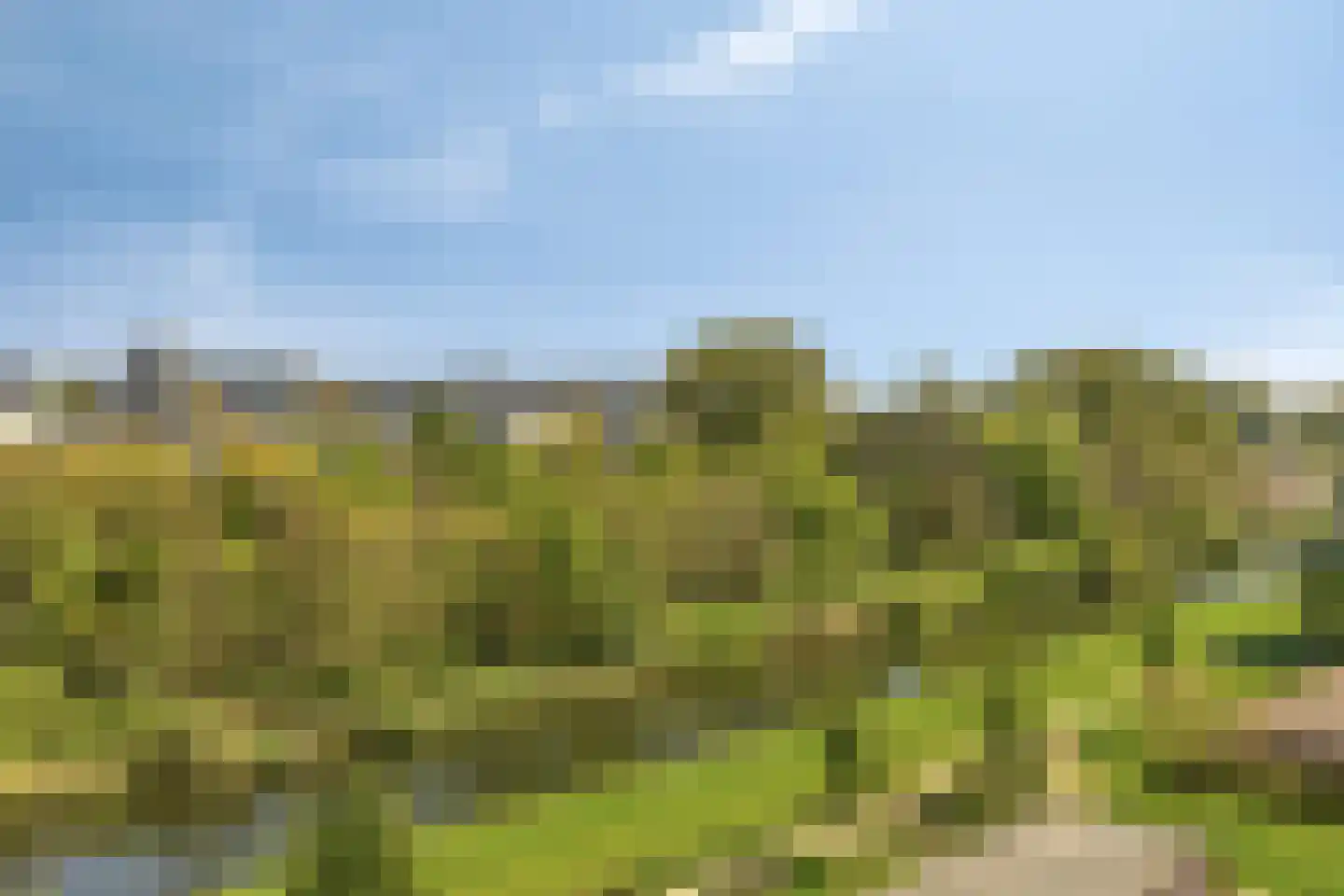 Alkenoord 322 Capelle aan den IJssel thumbnail 18
