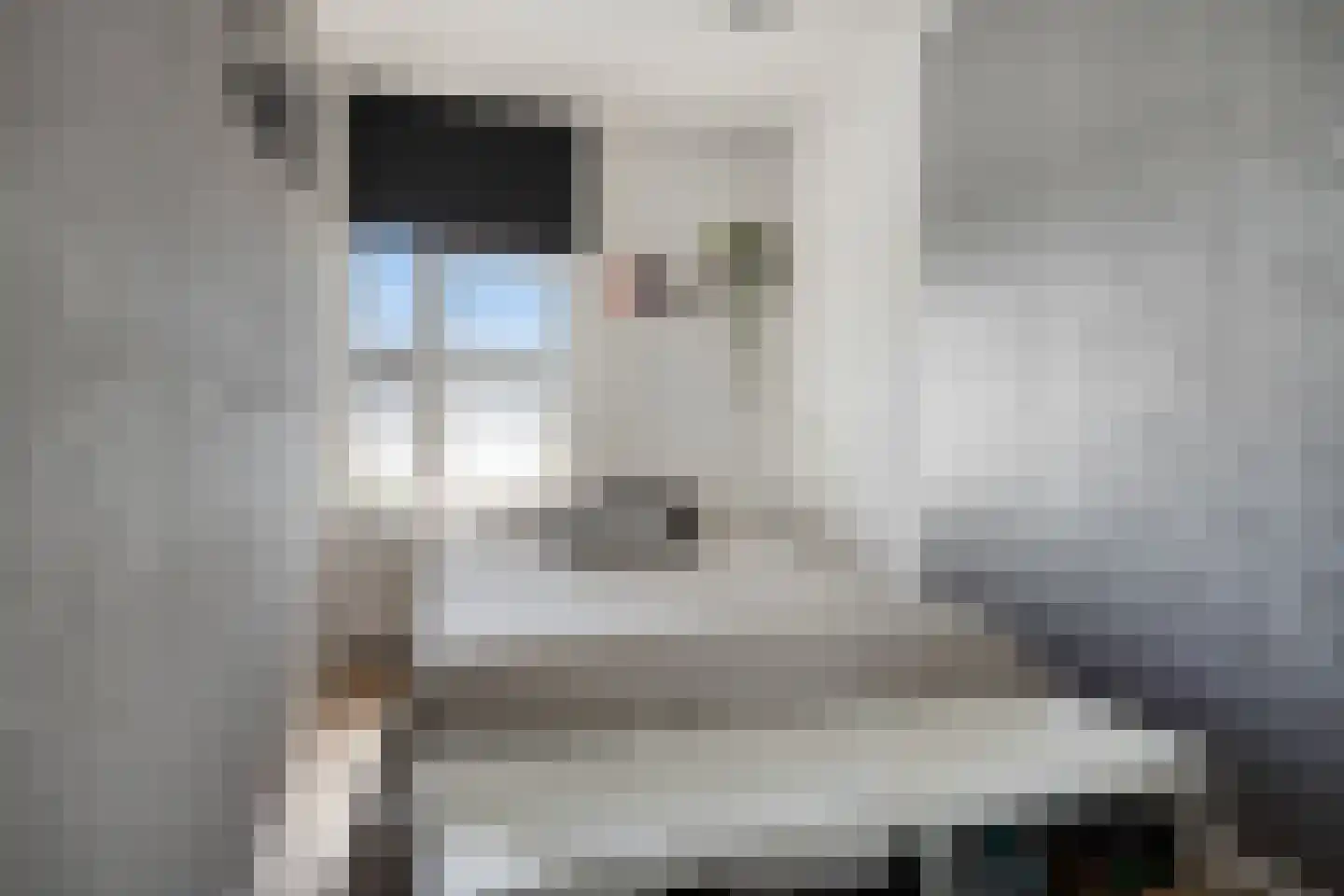 Alkenoord 322 Capelle aan den IJssel thumbnail 26