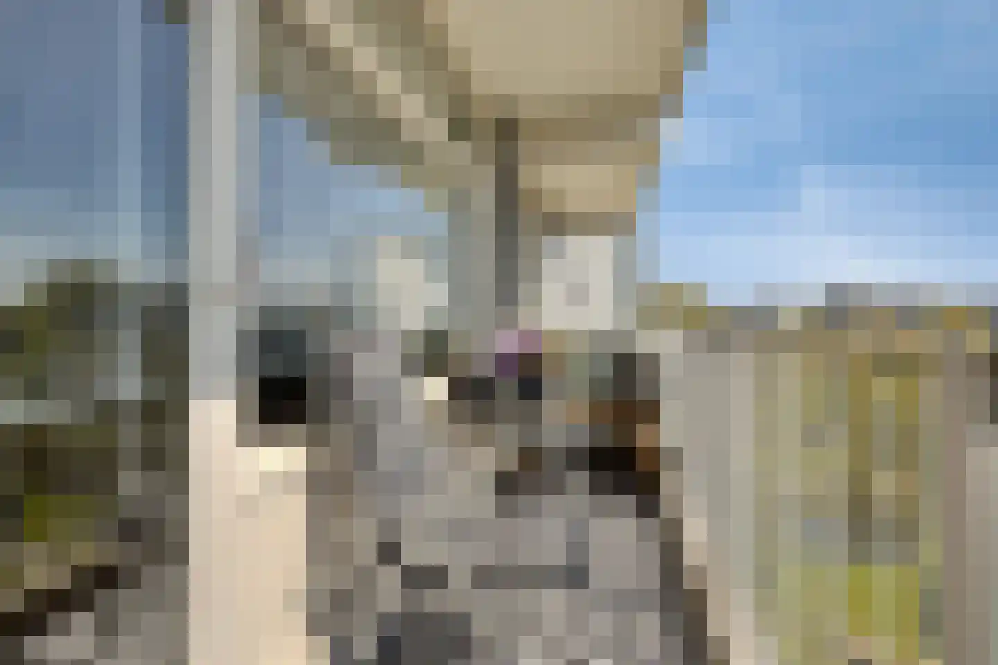 Alkenoord 322 Capelle aan den IJssel thumbnail 4