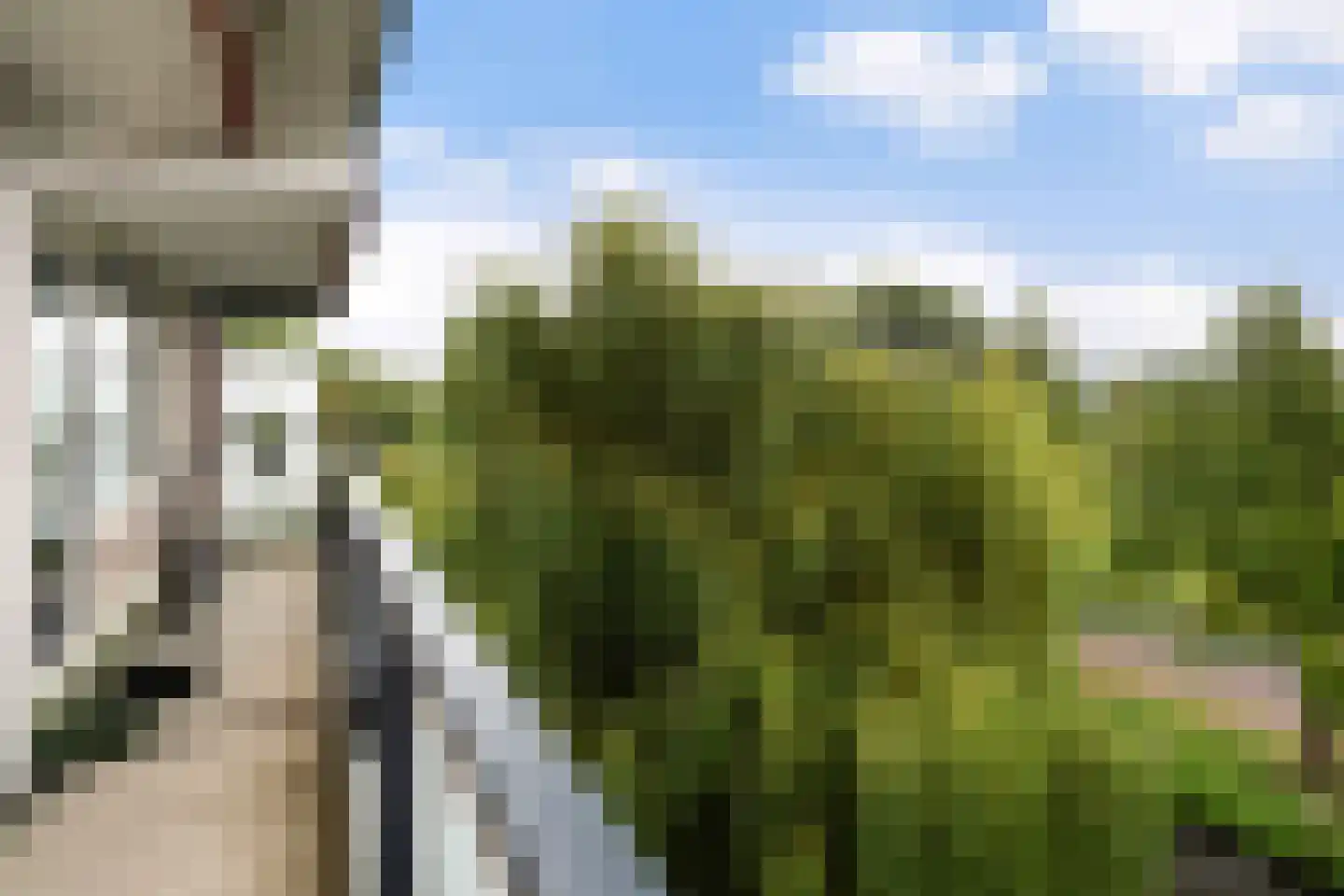 Alkenoord 40 Capelle aan den IJssel thumbnail 16