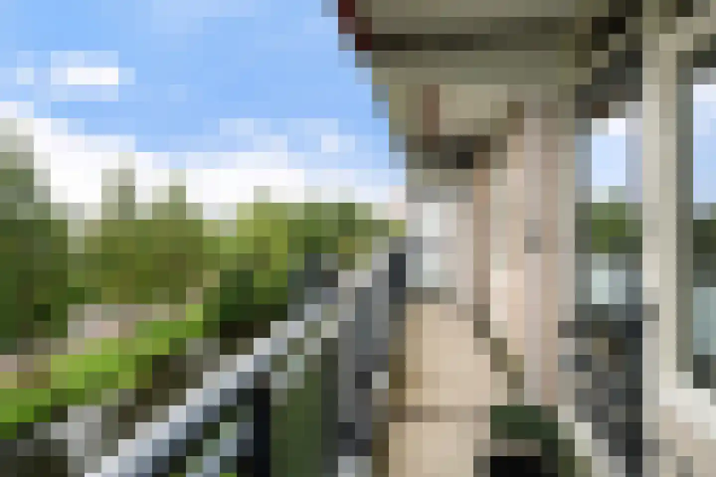 Alkenoord 40 Capelle aan den IJssel thumbnail 17