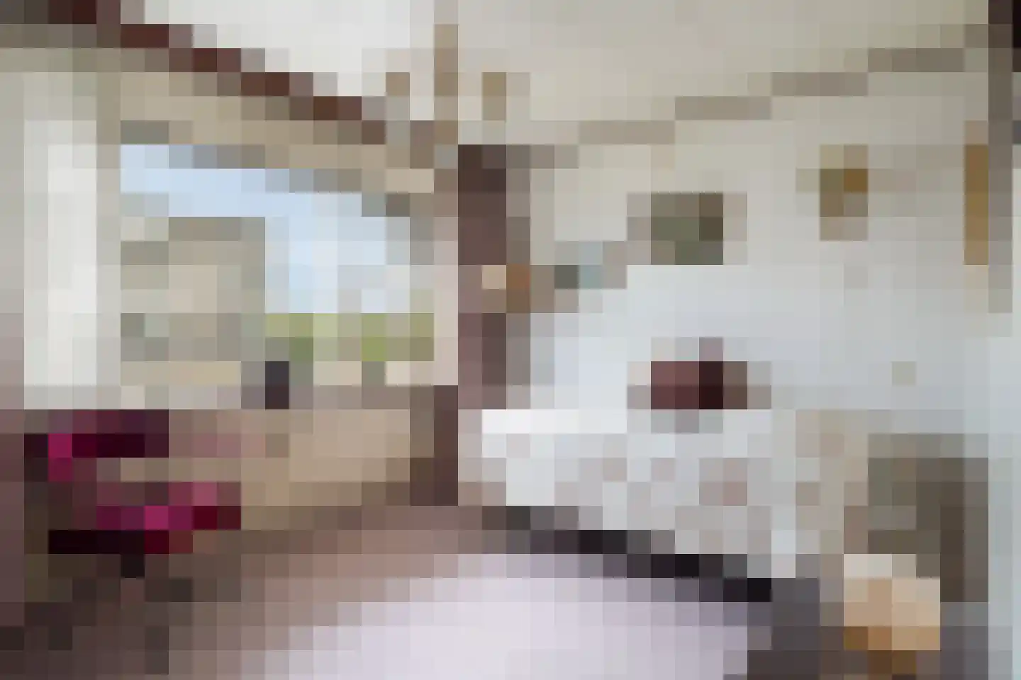 Alkenoord 40 Capelle aan den IJssel thumbnail 30