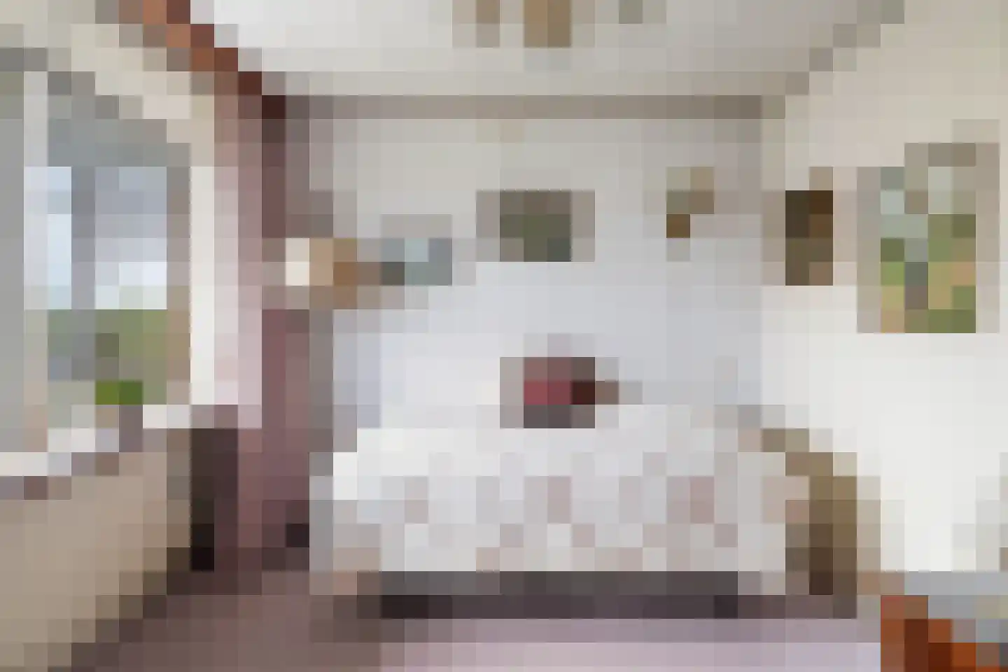 Alkenoord 40 Capelle aan den IJssel thumbnail 31