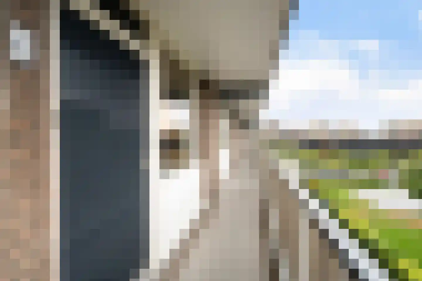 Alkenoord 40 Capelle aan den IJssel thumbnail 7