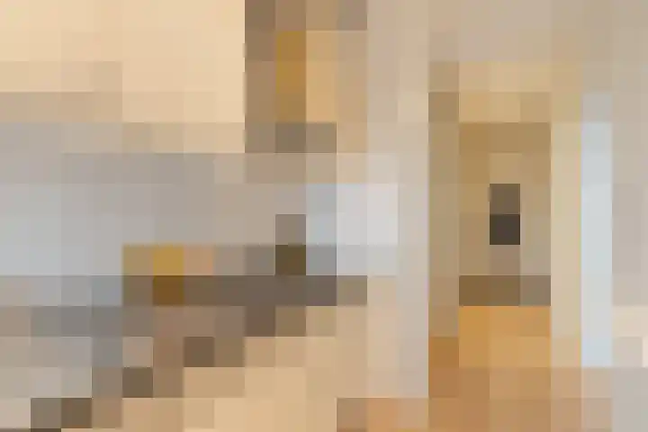 Alkenoord 55 Capelle aan den IJssel thumbnail 10