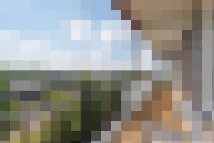 Alkenoord 55 Capelle aan den IJssel thumbnail 18