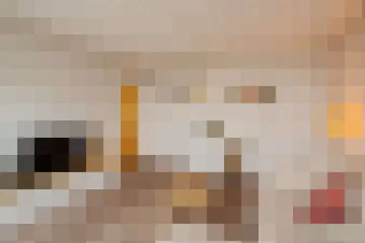Alkenoord 55 Capelle aan den IJssel thumbnail 6