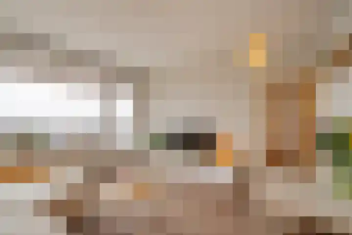 Alkenoord 55 Capelle aan den IJssel thumbnail 8