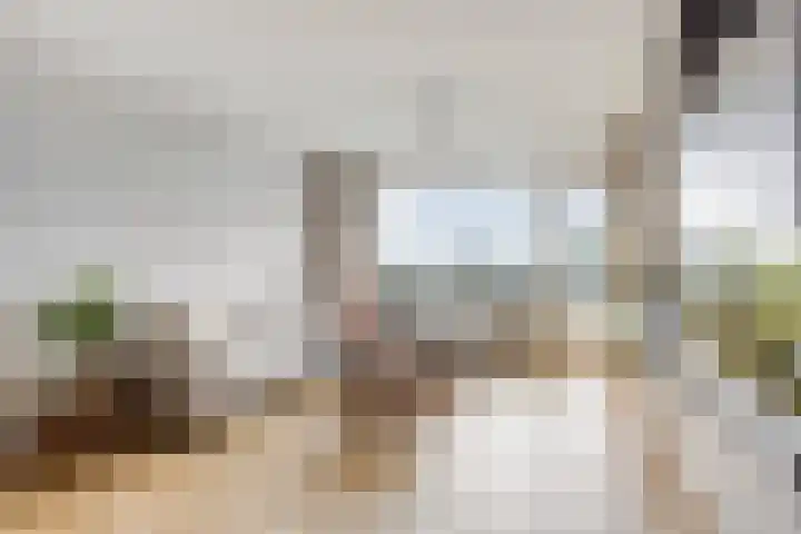 Alkenoord 64 Capelle aan den IJssel thumbnail 10