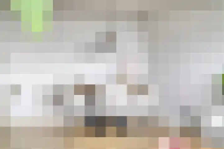 Alkenoord 64 Capelle aan den IJssel thumbnail 15