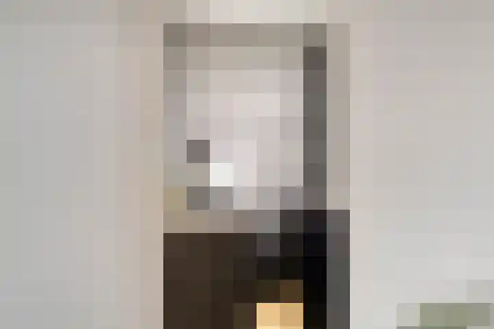 Alkenoord 64 Capelle aan den IJssel thumbnail 17