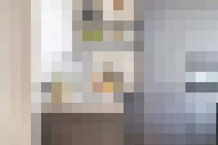 Alkenoord 64 Capelle aan den IJssel thumbnail 18